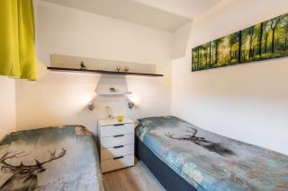 Gemütliche Ferienwohnung im Harz - Hohegeiß - 1