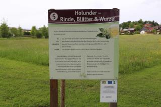 Fewo mit malerischem Bergblick im - 2