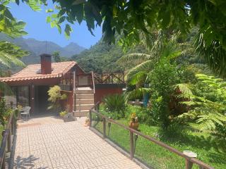 maderedocevida - Boaventura - 0