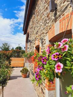 Sous la Charpente - La-Roche-en-Ardenne - 7