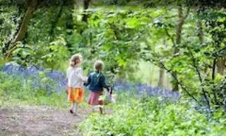 Rebels Retreat - 2-Bed Chalet nr St Ives & Hayle - St Ives - 1