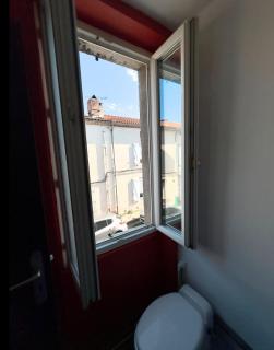 Lilas - Graulhet - 7