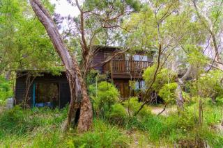 Bimbi Forest Eco Lodge - Denmark - 6