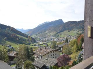 Studio 4 Pers. avec Balcon Sud, Parking et Navette - Le Grand-Bornand - FR-1-241-221 - Le Grand-Bornand - 8