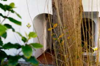 The Albufeira Concierge - Villa Praia São Rafael - Albufeira - 7