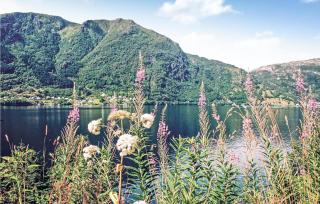 4 Bedroom Beautiful Home In Vaksdal - - 1