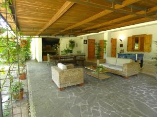 SCAPPO IN UMBRIA, La Casa nel bosco - Amelia - 8