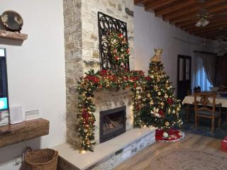 Bougainvillea House Lefkara - 6