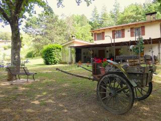 SCAPPO IN UMBRIA, La Casa nel bosco - Amelia - 6