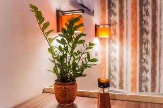 All In Apartman - Budapest - 5