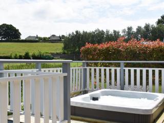 Pine Lodge - Uk30007 - Lindal in Furness - 9