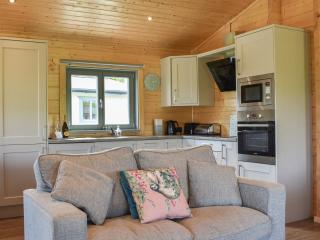 Pine Lodge - Uk30007 - Lindal in Furness - 5