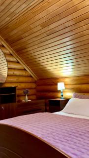 Cottage Karinka - Bukovel - 1