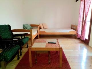 Apartman Sobek - Bajina Bašta - 5
