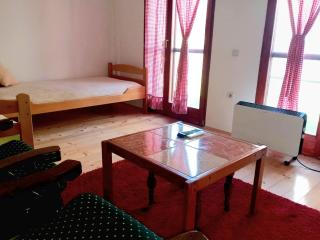 Apartman Sobek - Bajina Bašta - 9