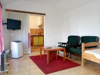 Apartman Sobek - Bajina Bašta - 3