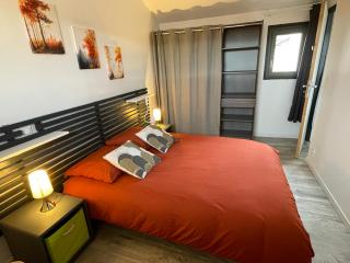 Lorraine - Apt avec 1ch en centre ville - Auch - 3