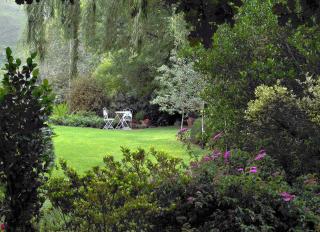 Birches Cottage & the Willows Garden Room - Underberg - 1