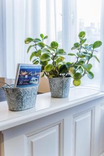 All In Apartman - Budapest - 8