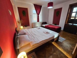 Apartment Zarnesti City Centre VMP Free Parking - 8