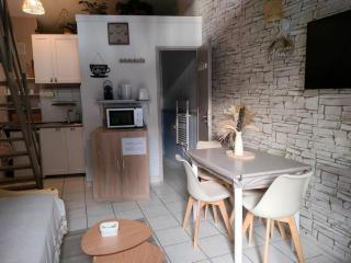 Kedge 6 - proche centre, tram et universités - 3