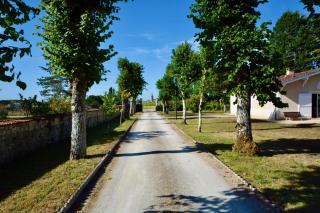 Le Petit Clos De Gorre - Martillac - 9