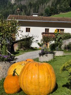 Seeberhof - Urlaub am Bauerhof - San Giacomo - 4