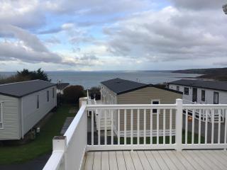 Newquay Haven caravan 42x14 with Ocean Views - New Quay - 9