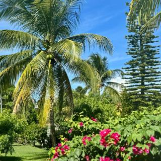 Les Jardins de Joyce - 7