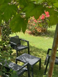 Les Jardins de Joyce - Le Moule - 1