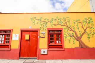 Hostel Tenerife - La Orotava - 9