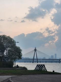 With Me Stay - Seoul - 3