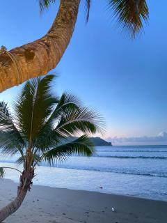 Jasmine Inn at Bucana Beach El Nido - 6