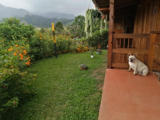 Cabañas Lucerito Turpial - 5
