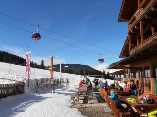 Berggasthof Christernreith - Maria Alm am Steinernen Meer - 2