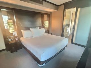 Jet Luxury at The Vdara - Las Vegas - 2