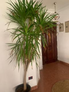 elsefarat hotel - Il Cairo - 7