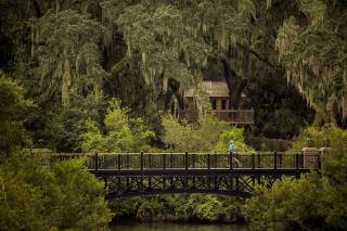 3 Bedroom Wilson Village Home 56 - Bluffton - 4