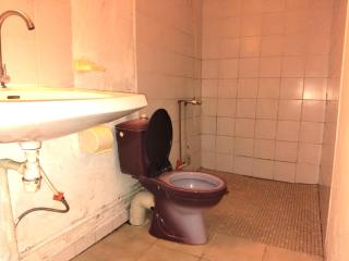 Le Sénégaulois Campement - 5