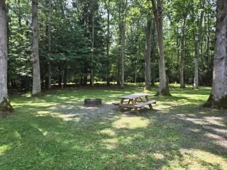 Swallow Falls Cabin 1 - 5