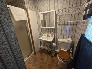 Swallow Falls Cabin 1 - 4