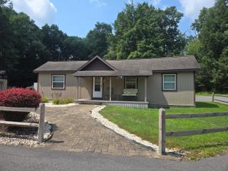 Swallow Falls Cabin 3 - 0