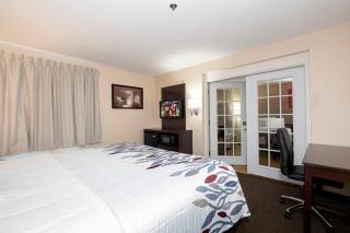 Red Roof Inn PLUS+ Austin South - Austin - 8