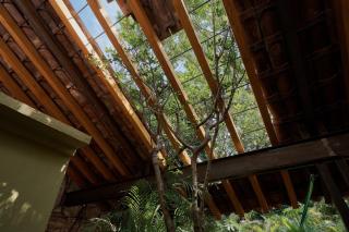Casa Verde Alberca Jardin Diseno Ubicacion AC - Città di Oaxaca - 1