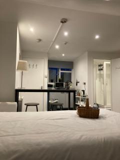 Lovely 1-Bed Studio in Walthamstow London - Londra - 3