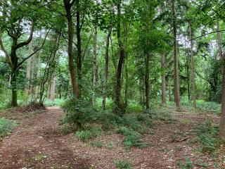 Sycamore Lodge Uk38193 - 5