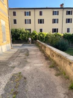 the lime tree cozy flat - Riva del Garda - 5