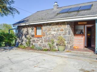 Swn Y Nant - Pontrhydfendigaid - 0