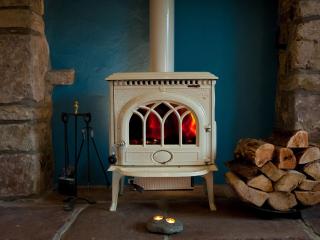 Tintern Abbey Cottage - 7