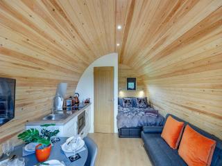 Chestnut Uk36261 - Llanfair Caereinion - 6